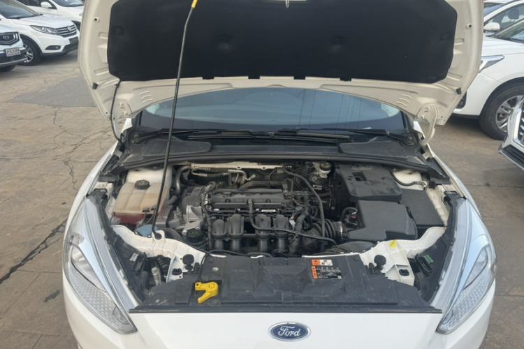 Used Ford Focus 2018 Hatchback Classic 1.6L Automatic Trendy SmartDrive Edition