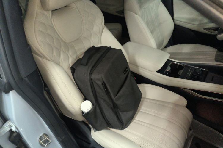 Used BYD Song L EV 2024 662 km Excellence Version Right Front Seat