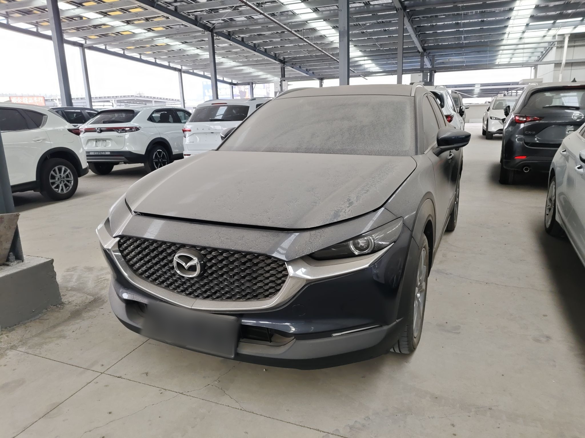 Parte inferior delantera