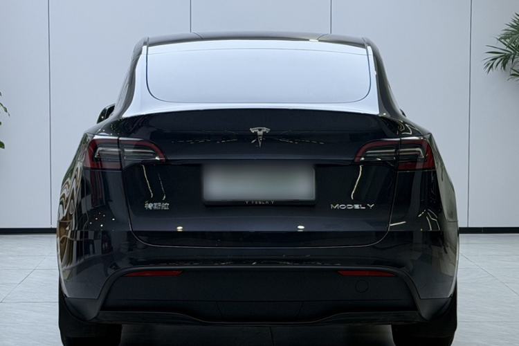 Used Tesla Model Y 2024 Rear-Wheel-Drive Version Exterior 1