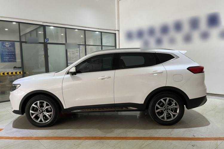 Used Haval H6 2021 National Trend Edition 1.5T Automatic Champion Version
