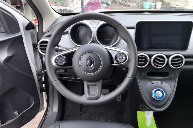 Used ORA Black Cat 2021 351 km Standard Version Steering Wheel