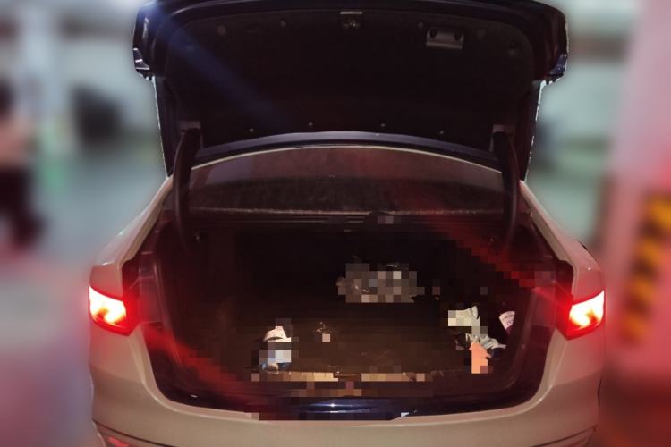 Used BYD Qin PLUS 2023 Champion Edition DM-i 55KM Leading Model
