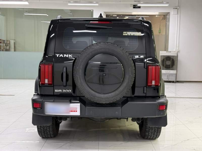 Used Tank 300 2021 Off-Road Edition 2.0T Conqueror — 28