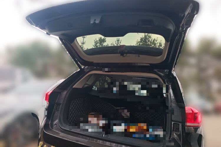 Used Wey VV6 2019 2.0T Two-Wheel-Drive Ultra-Luxury Version China VI Standard Trunk