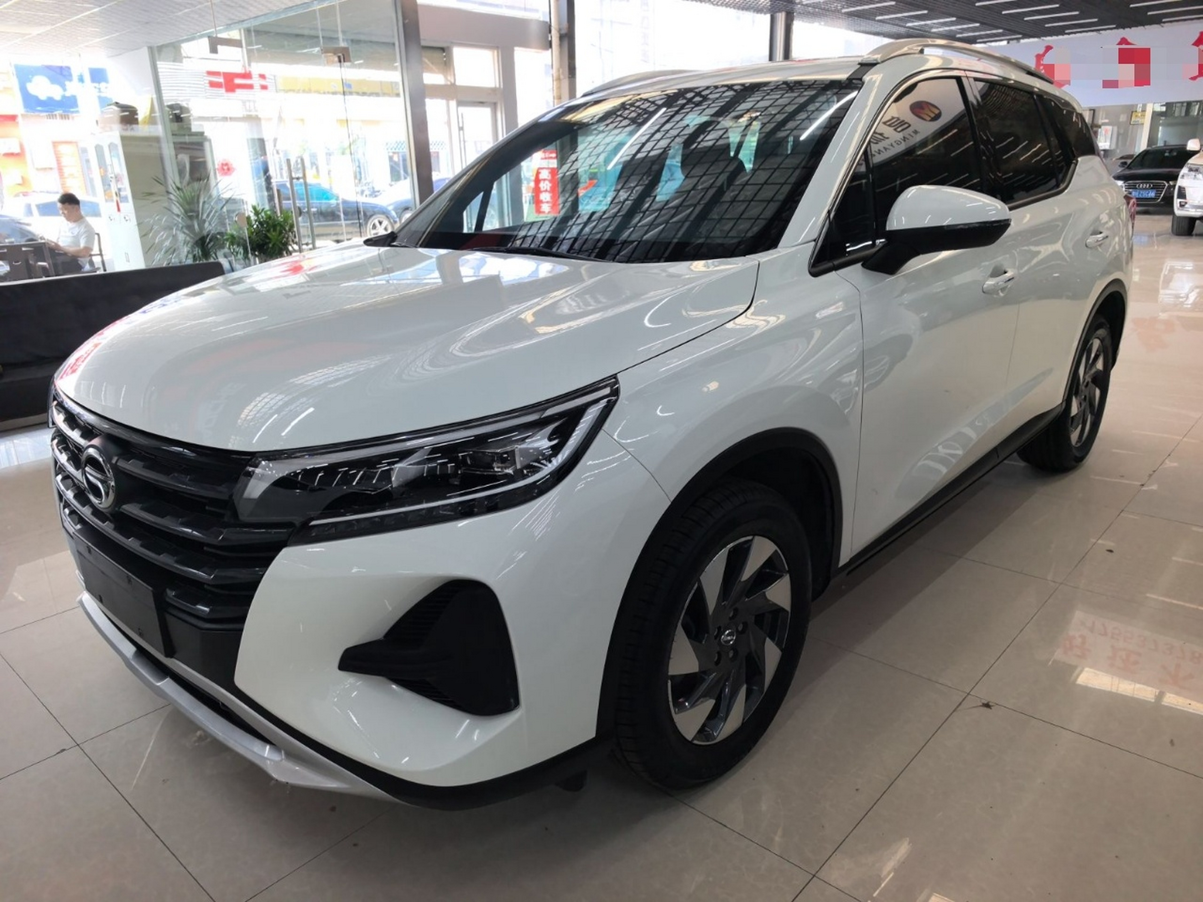 Parte inferior delantera