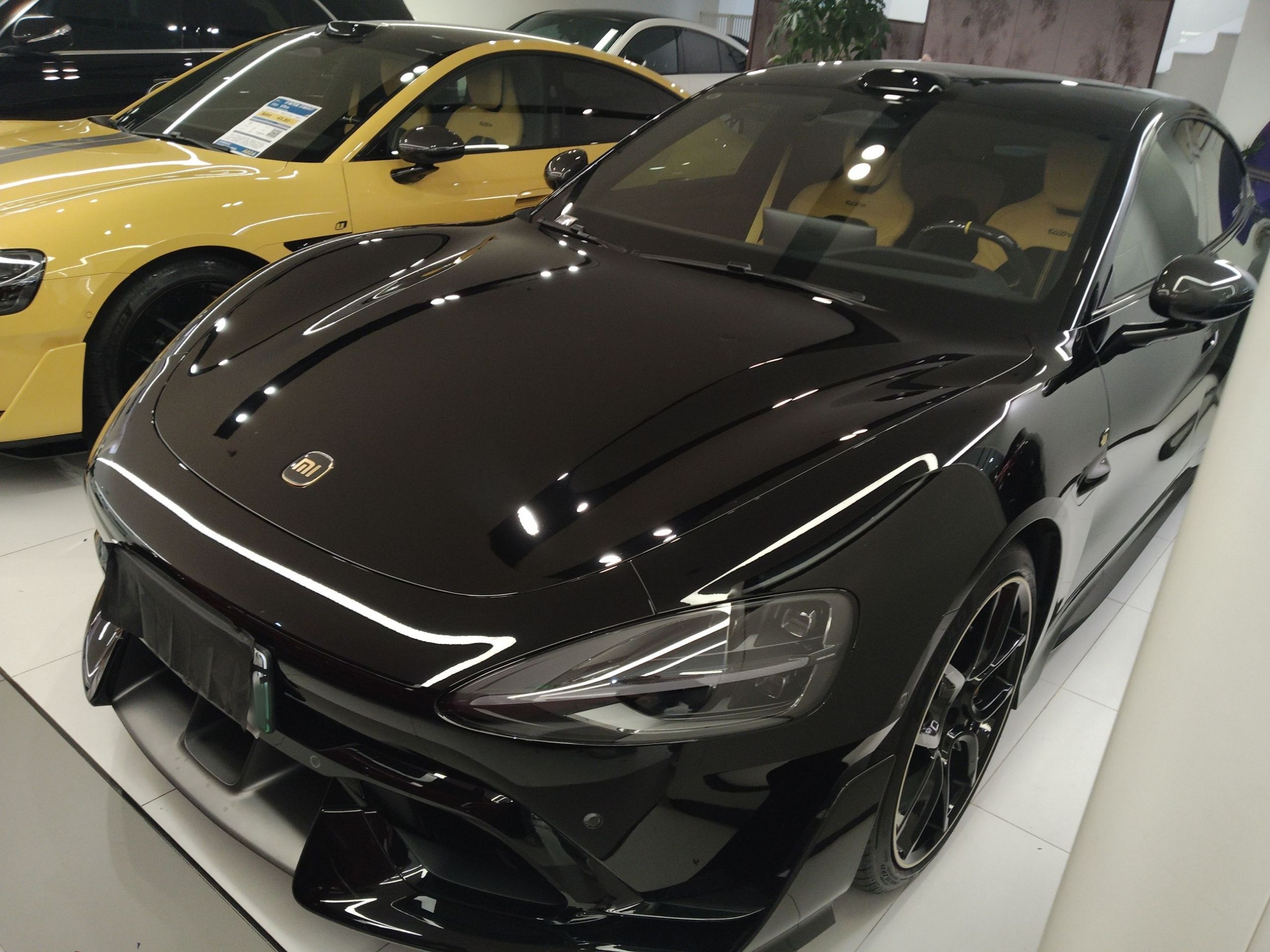 تحت مقدمة السيارة