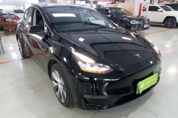 Used Tesla Model Y 2021 Standard Range Rear-Wheel Drive Version
