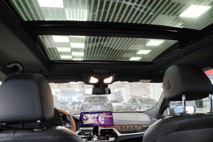 Used BMW 6 Series GT 2019 630i M Sport Package Headliner