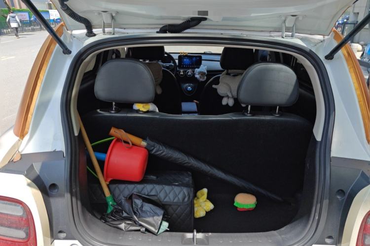 Used ORA Black Cat 2021 351 km Standard Version Trunk