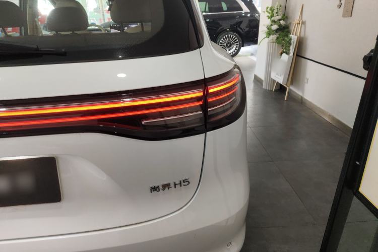 Used Hima H5 2025 Model Pure Electric Max