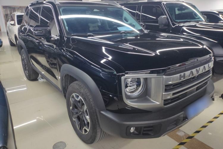 Used Haval DARGO 2024 2.0T DCT Chinese Rural Dog Edition
