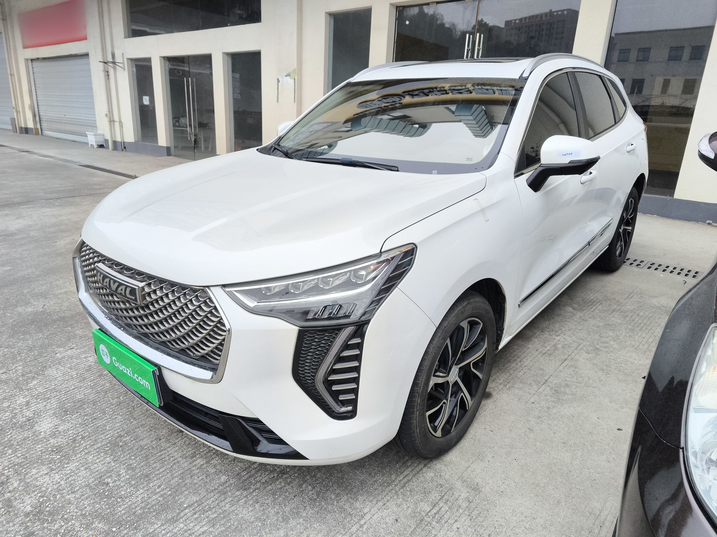 Parte inferior delantera