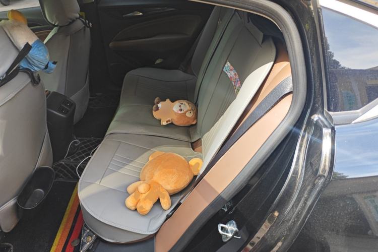 Used Buick Regal 2019 20T Elite Version China V Standard