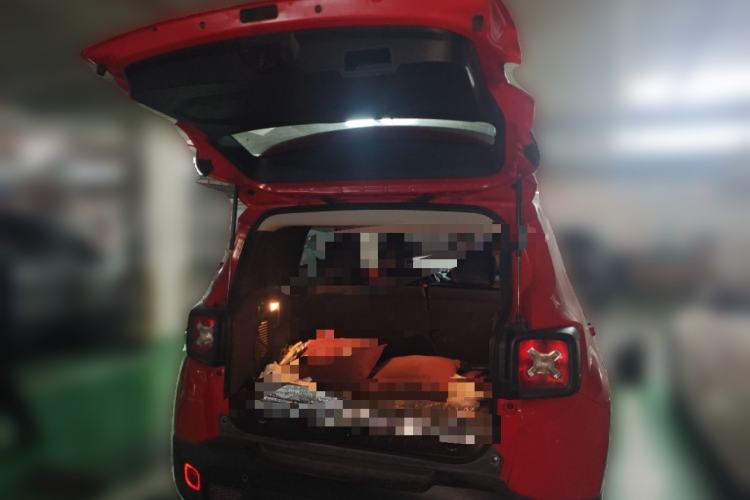 Used Jeep Renegade 2017 180T Automatic Jingneng Edition Trunk