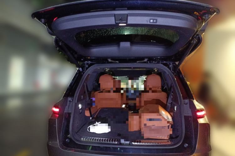 Used Li Auto L9 2022 Max model
