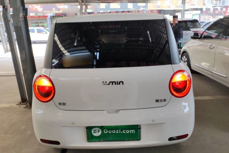 Used Qiyuan Lumin 2023 205km Xiangqin Version
