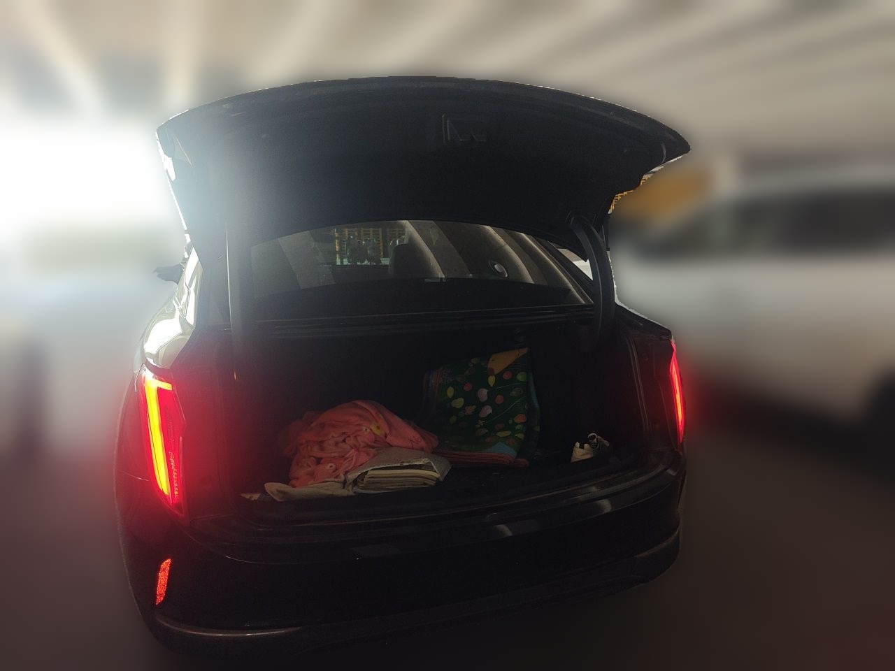 Hongqi E-QM5 2023 560km PLUS — снимка 19