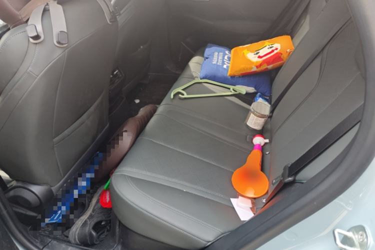 Used BYD Qin PLUS 2025 DM-i Smart Drive 55KM Leading Model Left Rear Seat