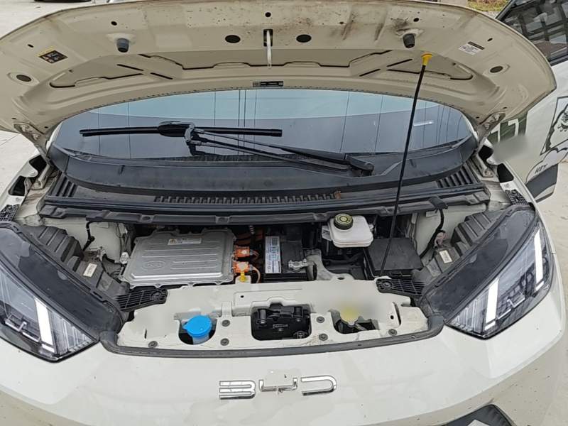 Used BYD Seagull 2023 Free Edition — 19