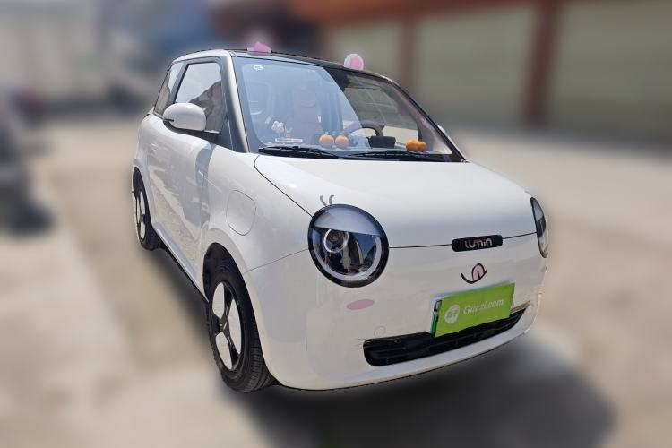 Used Qiyuan Lumin 2023 205km Xiangqin Version