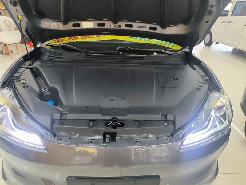 Used NETA V 2021 Long-Range Entertainment Edition Upgrade Model — 19