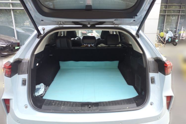 Used Wey Mocha 2021 2.0T Two-Wheel-Drive Premium Edition