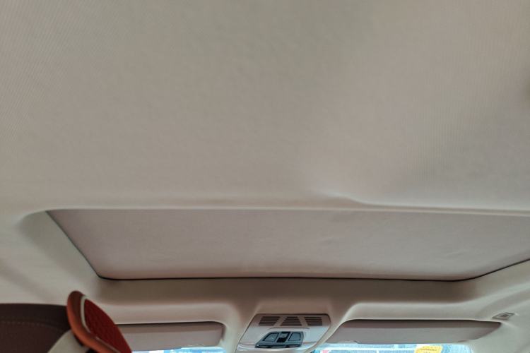 Used BMW X6 2015 xDrive35i Luxury Edition Headliner