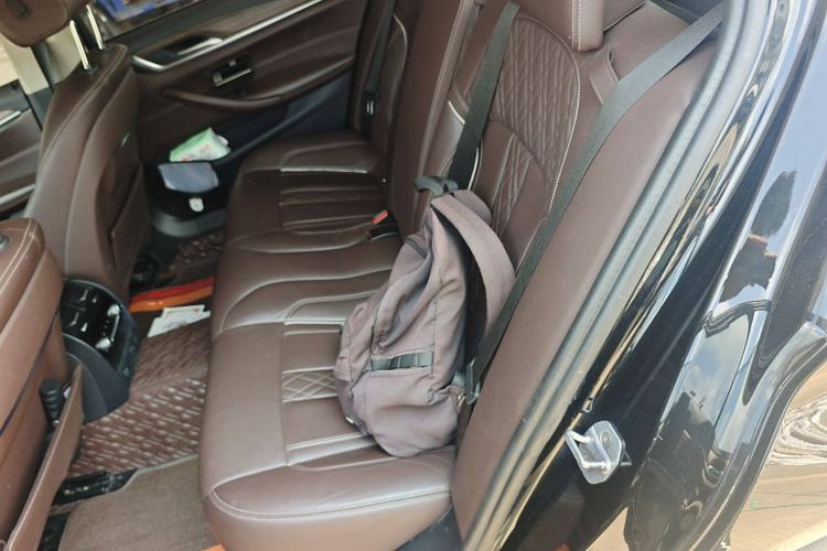 Used BMW 5 Series New Energy 2019 530Le Luxury Package
