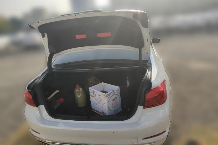 Used BMW 5 Series 2019 530Li Leading Model Luxury Package