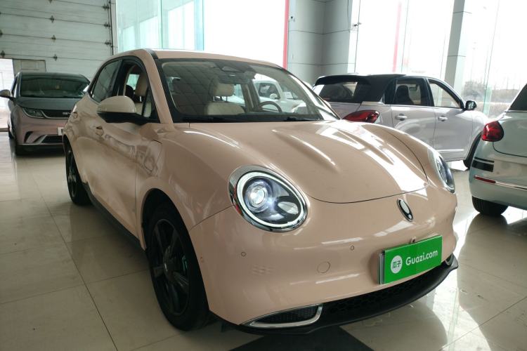 Used ORA Good Cat 2021 400km Standard Range Athena Edition Lithium-Ion Battery