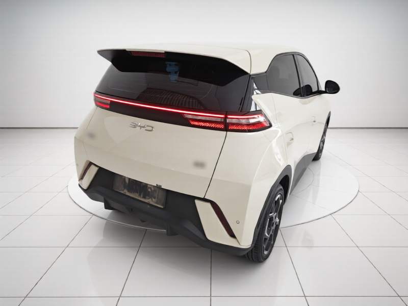 Used BYD Seagull 2024 Honor Edition 305km Freedom Version — 6