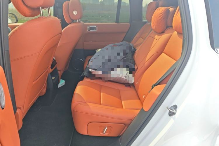 Used Li Auto L6 2024 Pro Model