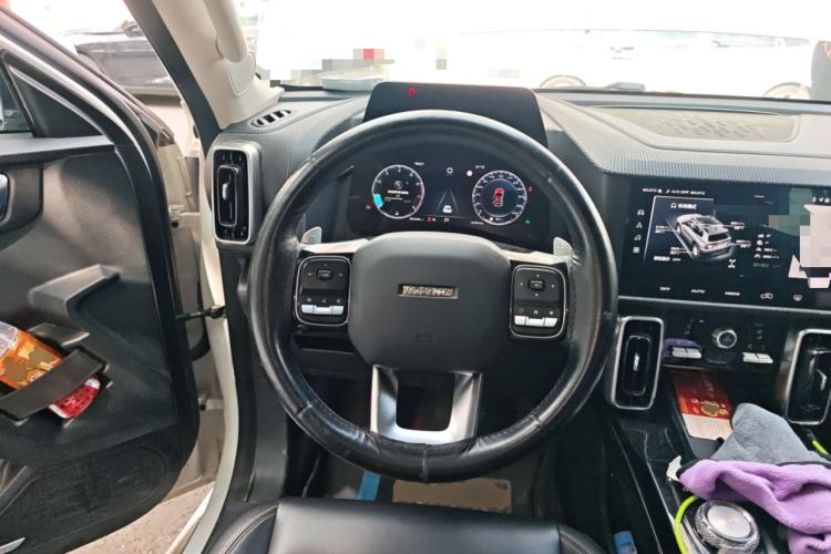 Used Haval DARGO 2021 2.0T DCT 4x4 Chinese Rural Dog Edition