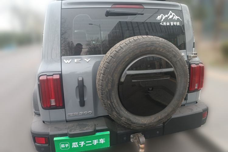 Used Tank 300 2021 Off-Road Edition 2.0T Conqueror Rear