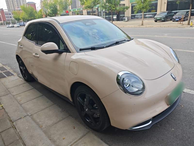 Used ORA Good Cat 2024 401 km Luxury Version — 3