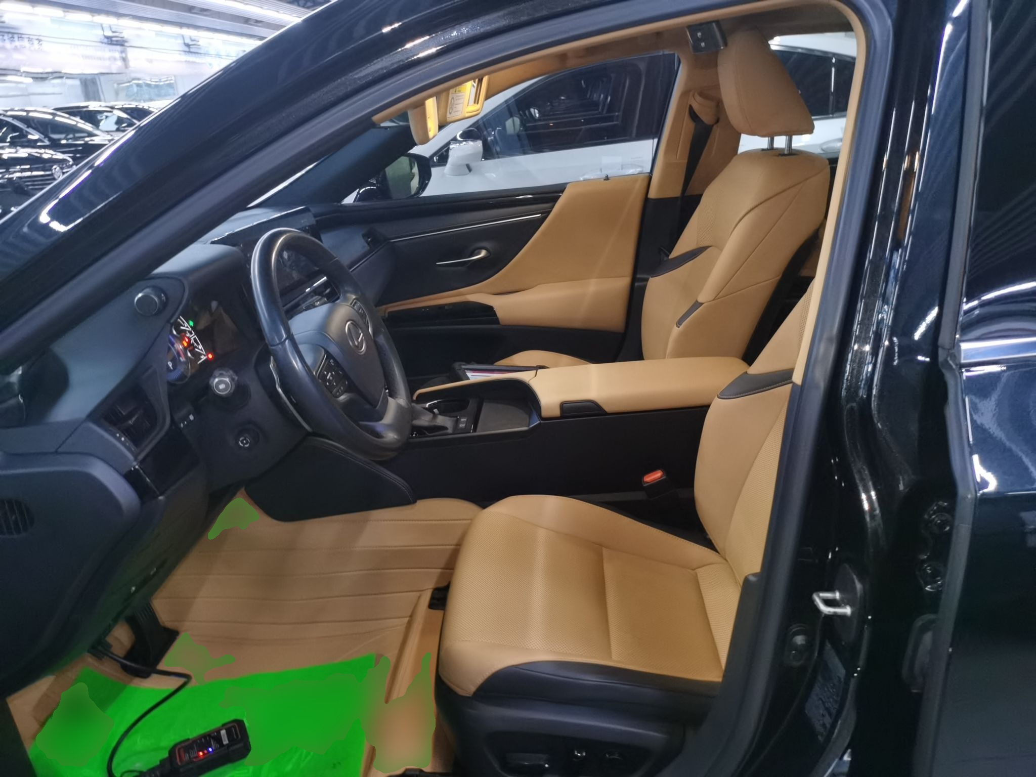Interior delantero