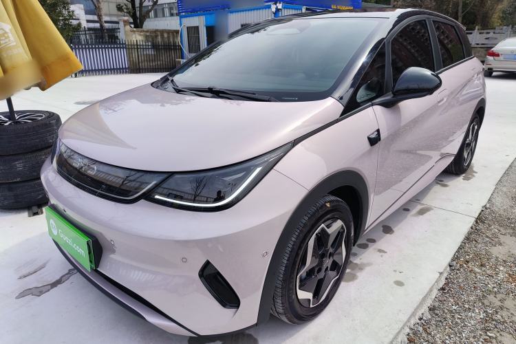 Used BYD Dolphin 2025 Smart Drive Version 420 km Freedom Edition