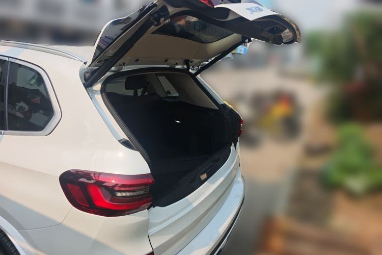 Used BMW X5 2022 xDrive 30Li Luxury M Sport Package
