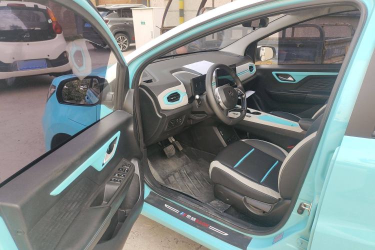 Used SOL E10X 2022 Flower Fairy Design Four-Leaf Clover