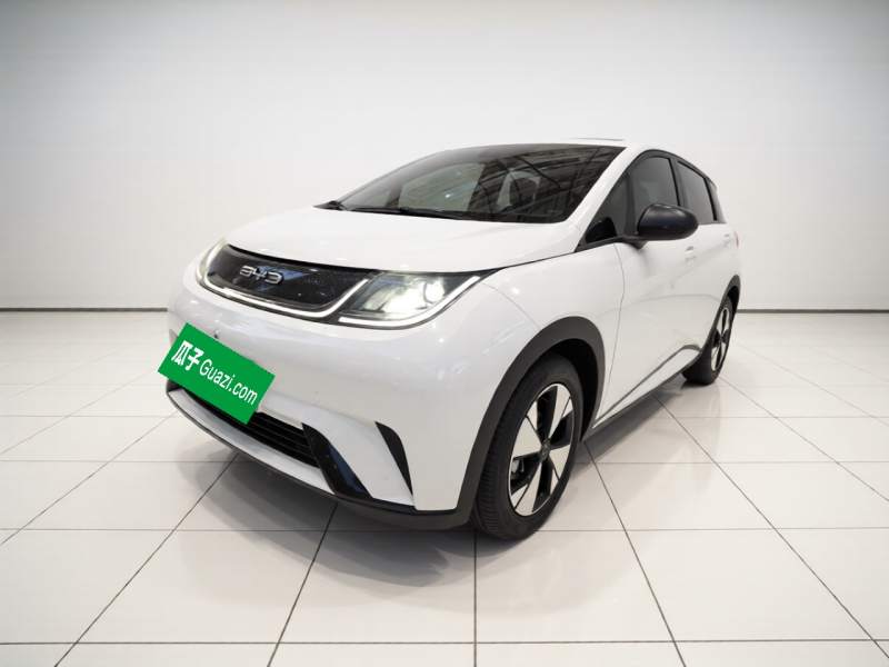Used BYD Dolphin 2023 420 km Free Version — 1