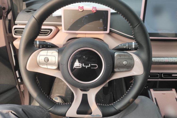 Used BYD Seagull 2024 Honor Edition 305km Freedom Version