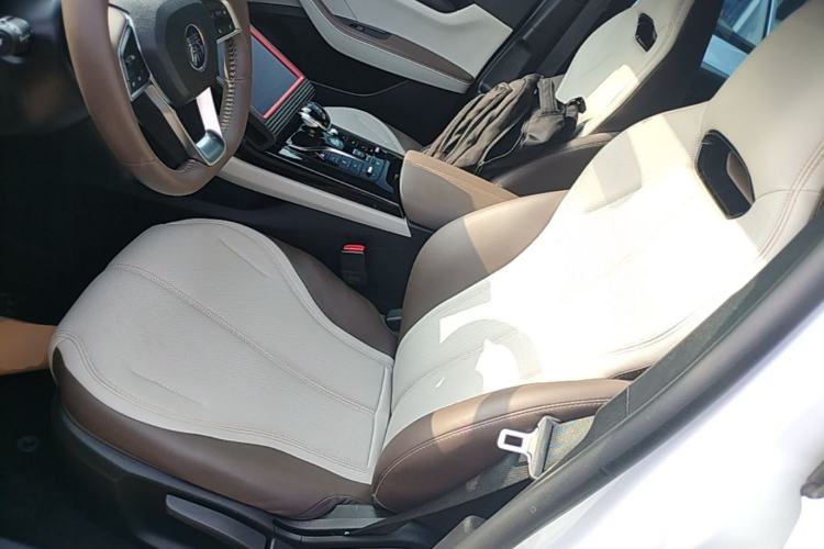 Used BYD Qin PLUS 2024 HONOR Edition DM-i 55KM Leading Model Left Front Seat