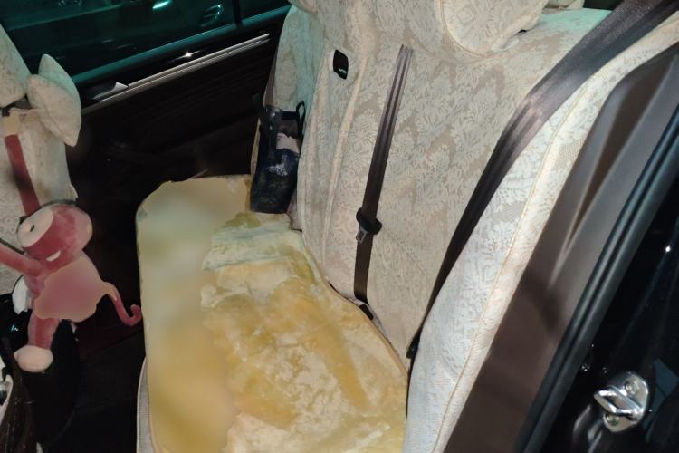 Used Volkswagen Phideon 2021 380TSI Luxury Edition Left Rear Seat