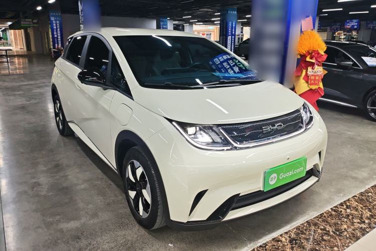 Used BYD Dolphin 2025 420km Free Edition
