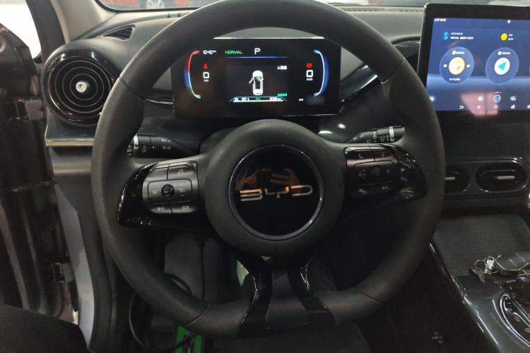 Used BYD e2 2023 Comfort Model Steering Wheel