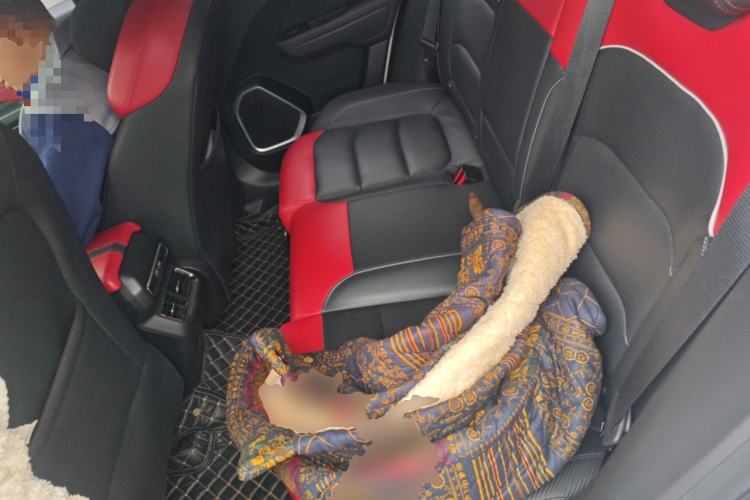 Used Geely Auto icon 2020 1.5TD i9