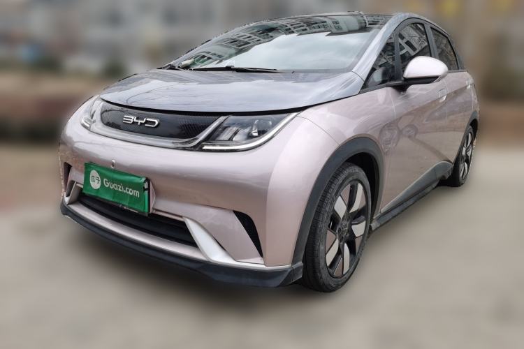 Used BYD Dolphin 2021 401km Knight Edition