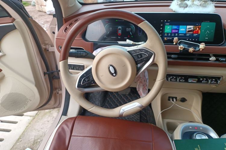 Used ORA Good Cat 2022 Morandi Edition 400km Standard Range Luxury Version Lithium-Ion Battery