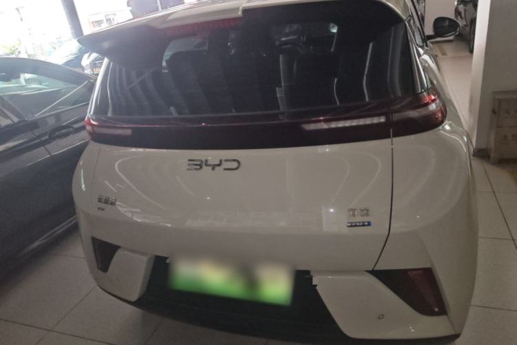 Used BYD Seagull 2025 Smart Drive Version 305 km Freedom Edition
